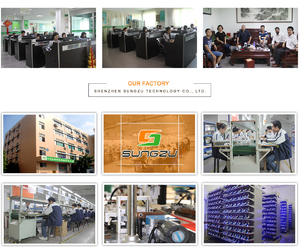 Shenzhen Ecsson Technology Co.,Limited